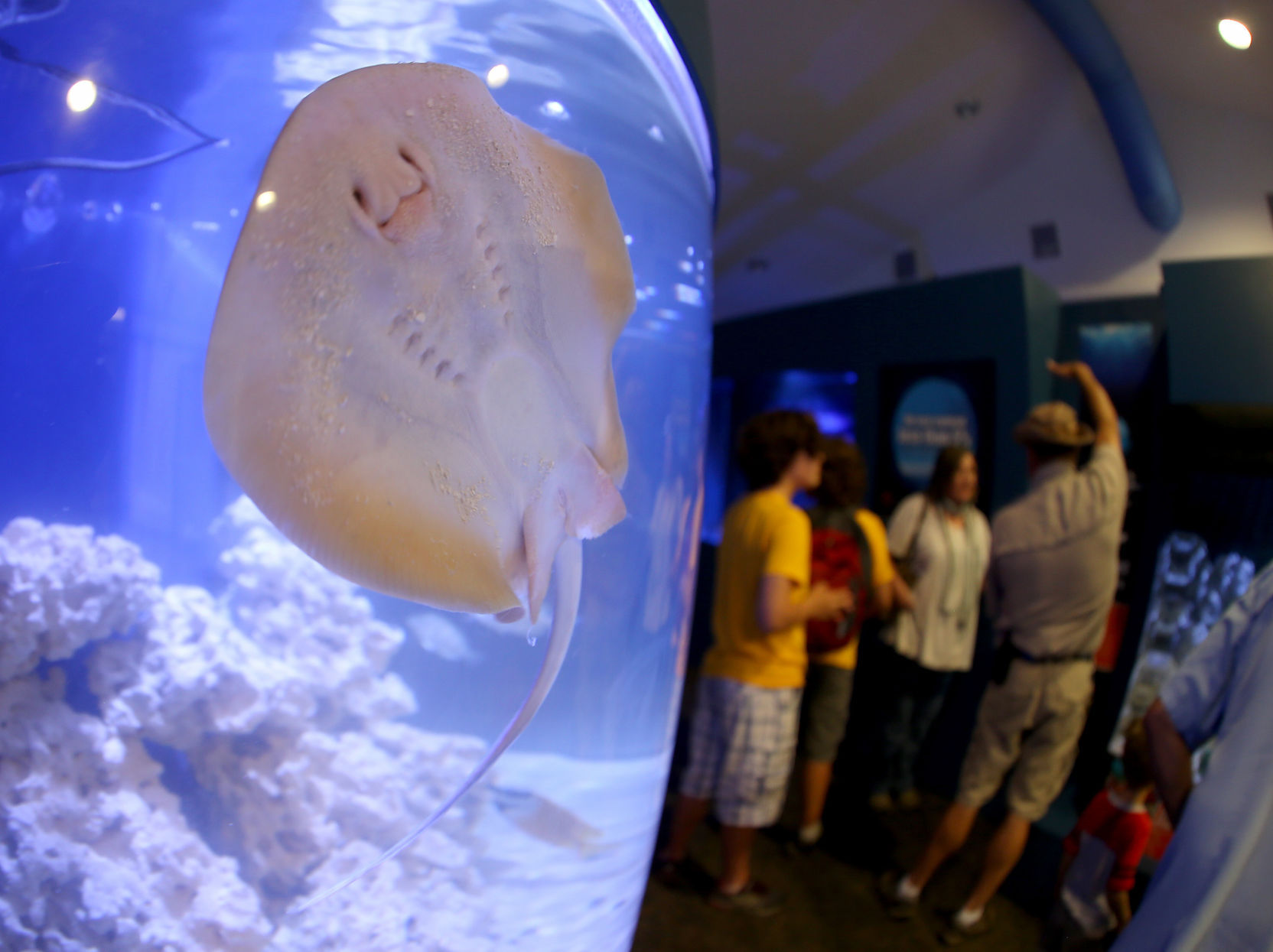 Outtakes: Niabi Zoo's Oceans